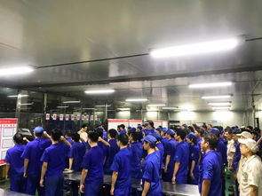 重预防 抓落实 提能力 保安全——十一部总装深圳工厂底盘工段专项安全教育四部曲暨舞台表演安全保护服务